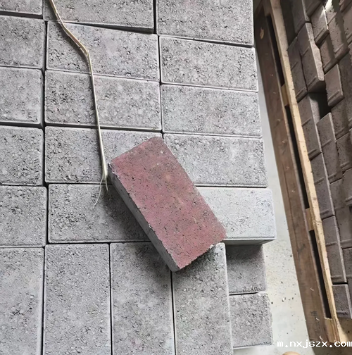 粉煤灰标砖生产 粉煤灰标砖生产